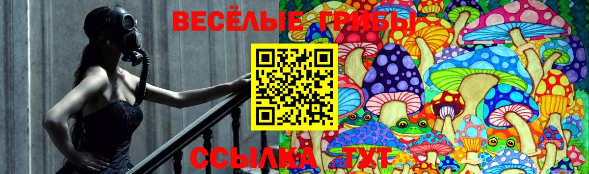 Псилоцибиновые грибы Magic Shrooms  даркнет сайт  Орёл  Вход с VPN  Галлюциногенные грибы прущие грибы 