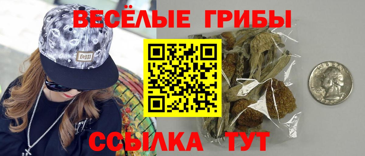 Галлюциногенные грибы мицелий Орёл